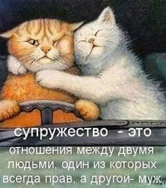 смешные открытки976 смешные открытки976