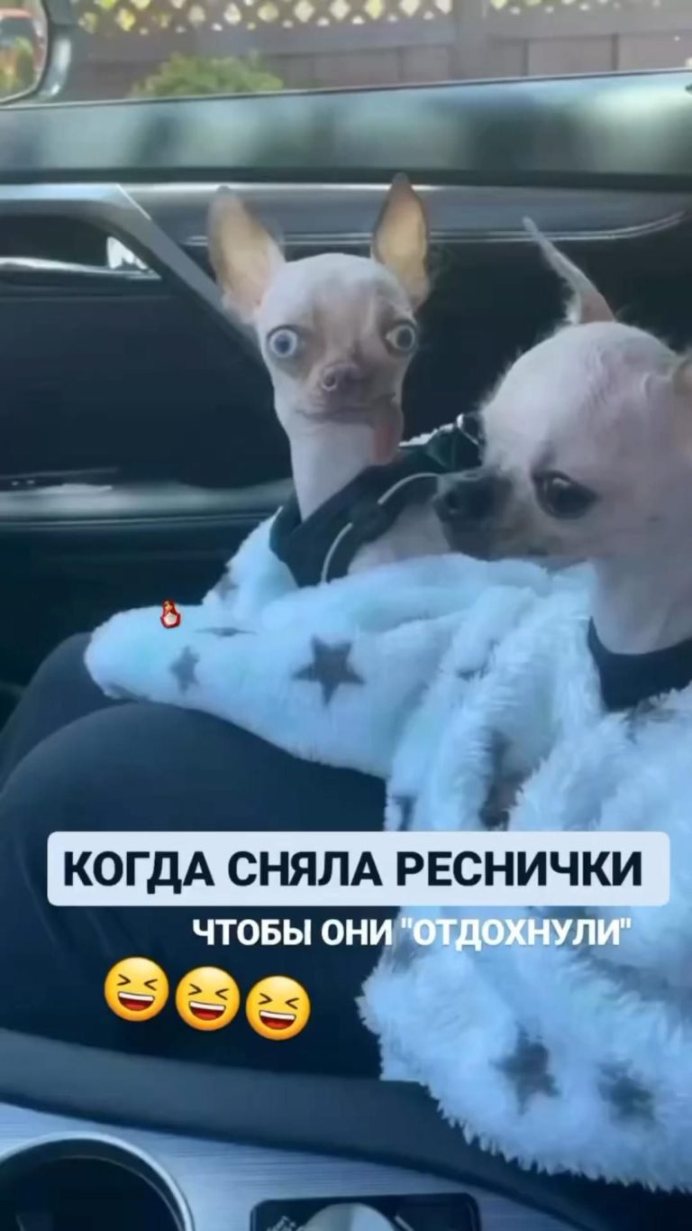 Смешные видео 72 Смешные видео 72