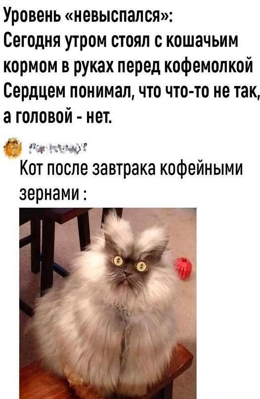 юмор, смешные картинки юмор, смешные картинки