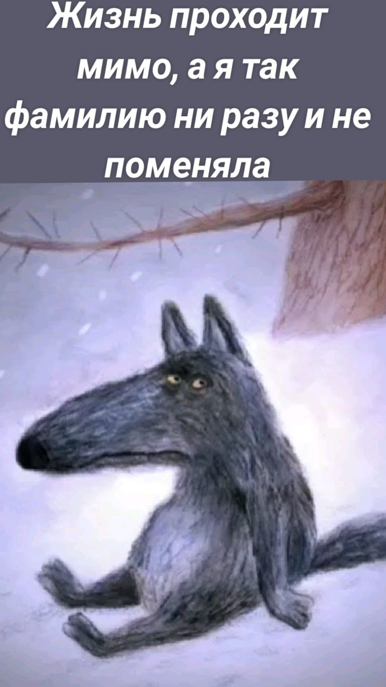 Жизнь проходит мимо, а я так фамилию ни разу и не поменяла Жизнь проходит мимо, а я так фамилию ни разу и не поменяла