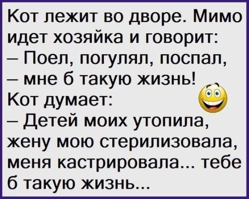 юмор очень смешно 445 юмор очень смешно 445