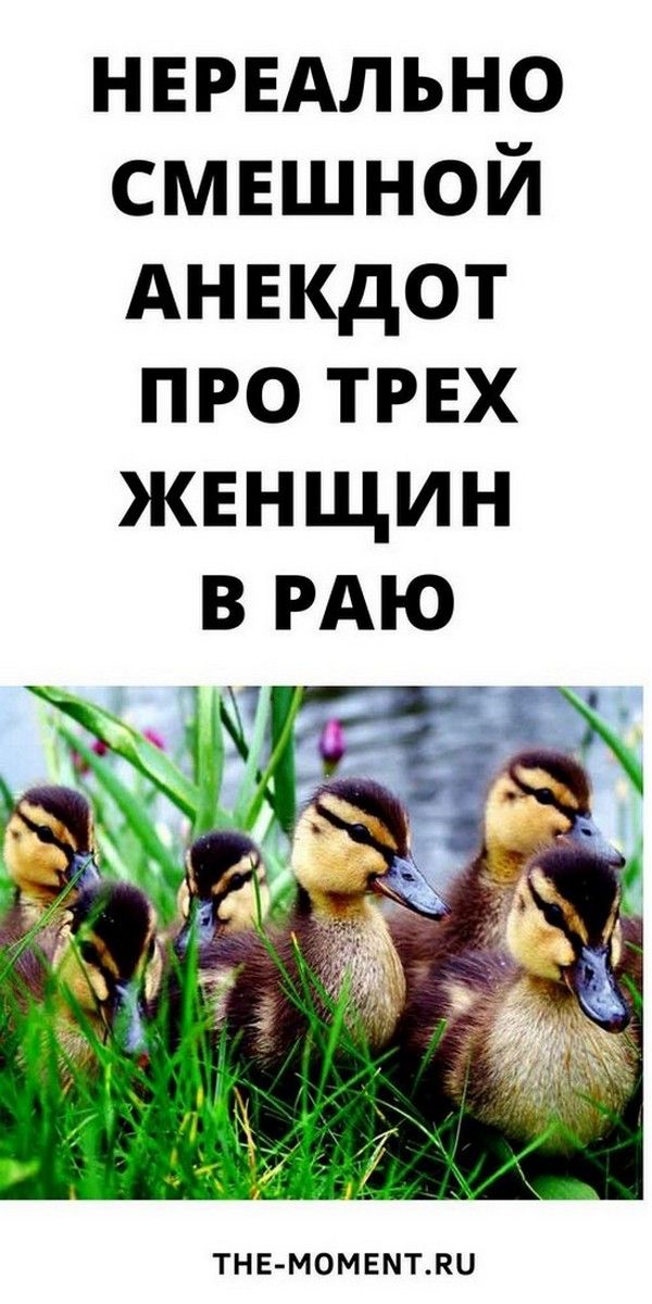 Новый и очень смешной анекдот о трех женщинах в раю | Магия Жизни Новый и очень смешной анекдот о трех женщинах в раю | Магия Жизни