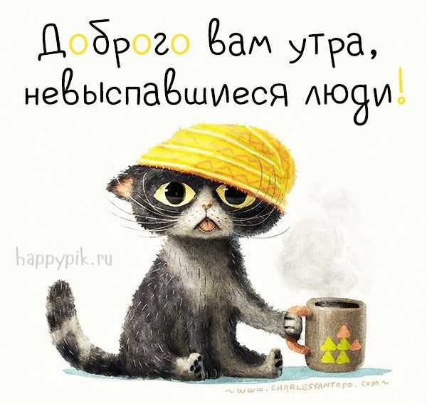 Прикольные картинки Доброе утро 👍 😄 – скачать Прикольные картинки Доброе утро 👍 😄 – скачать