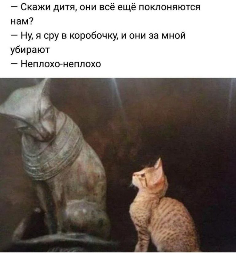 юмор, смешные картинки юмор, смешные картинки