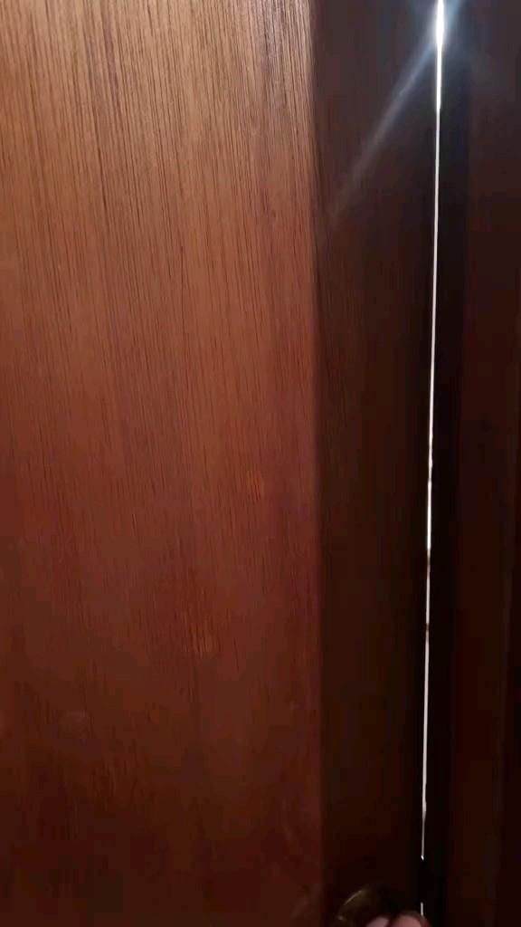 животные смешные видео милые забавные приколы весёлые эстетика доброе утро котики собака щенок 🐕