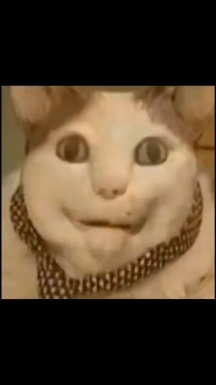 Бу, испугался? Небойся! Я друг. Бу, испугался? Небойся! Я друг.