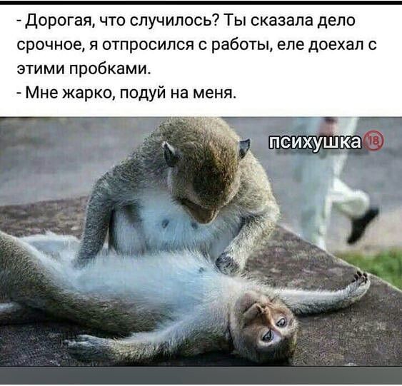 Одноклассники Одноклассники