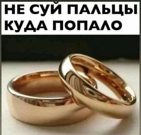 смешные открытки31 смешные открытки31