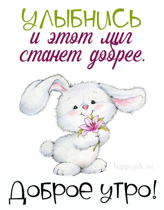 Позитивные картинки Доброе утро 😄 👇 – скачать Позитивные картинки Доброе утро 😄 👇 – скачать
