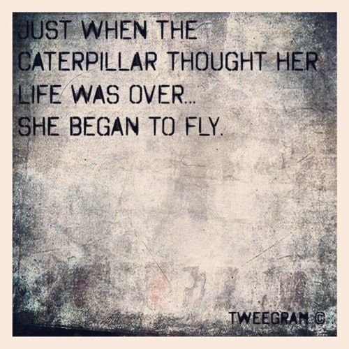 10 Inspirational Quotes Of The Day (410) – LifeHack 10 Inspirational Quotes Of The Day (410) – LifeHack