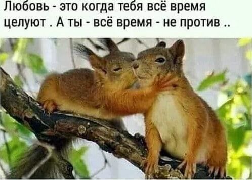 Любовь – это когда тебя все время целуют . Аты – всё время – не против у ты – АйДаПрикол Любовь – это когда тебя все время целуют . Аты – всё время – не против у ты – АйДаПрикол
