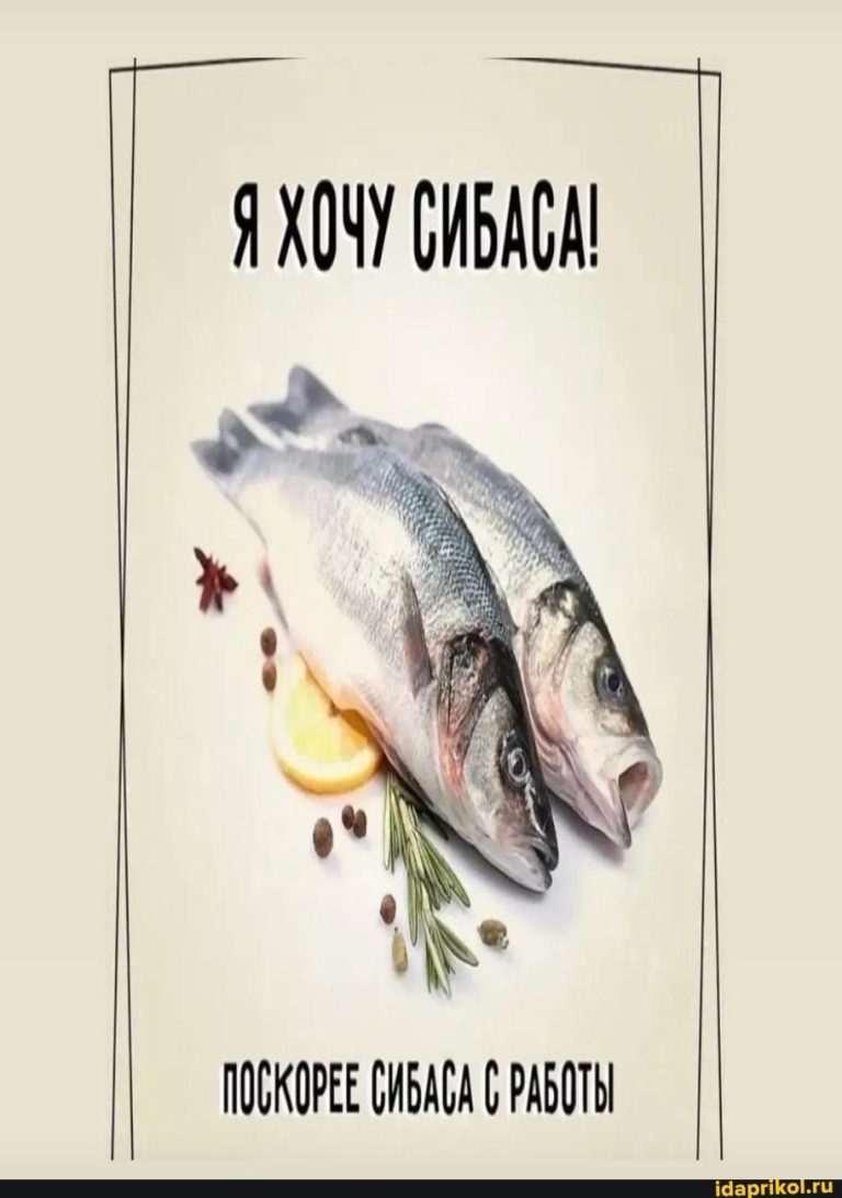 Я ХОЧУ СИБАСА! ПОСКОРЕЕ СИБАСА РАБОТЫ – АйДаПрикол Я ХОЧУ СИБАСА! ПОСКОРЕЕ СИБАСА РАБОТЫ – АйДаПрикол