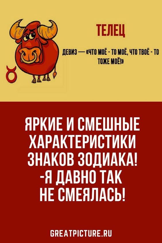 картинки смешные331 картинки смешные331