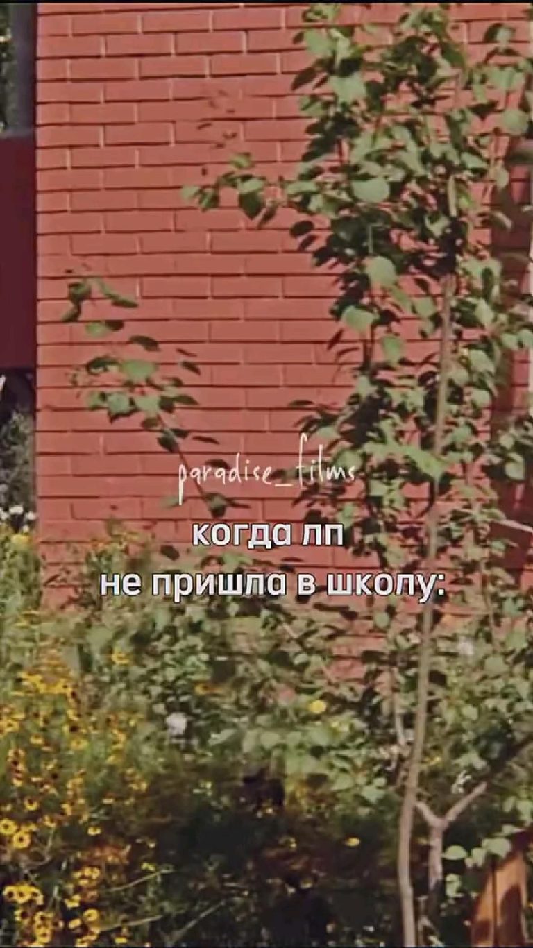 лпешка