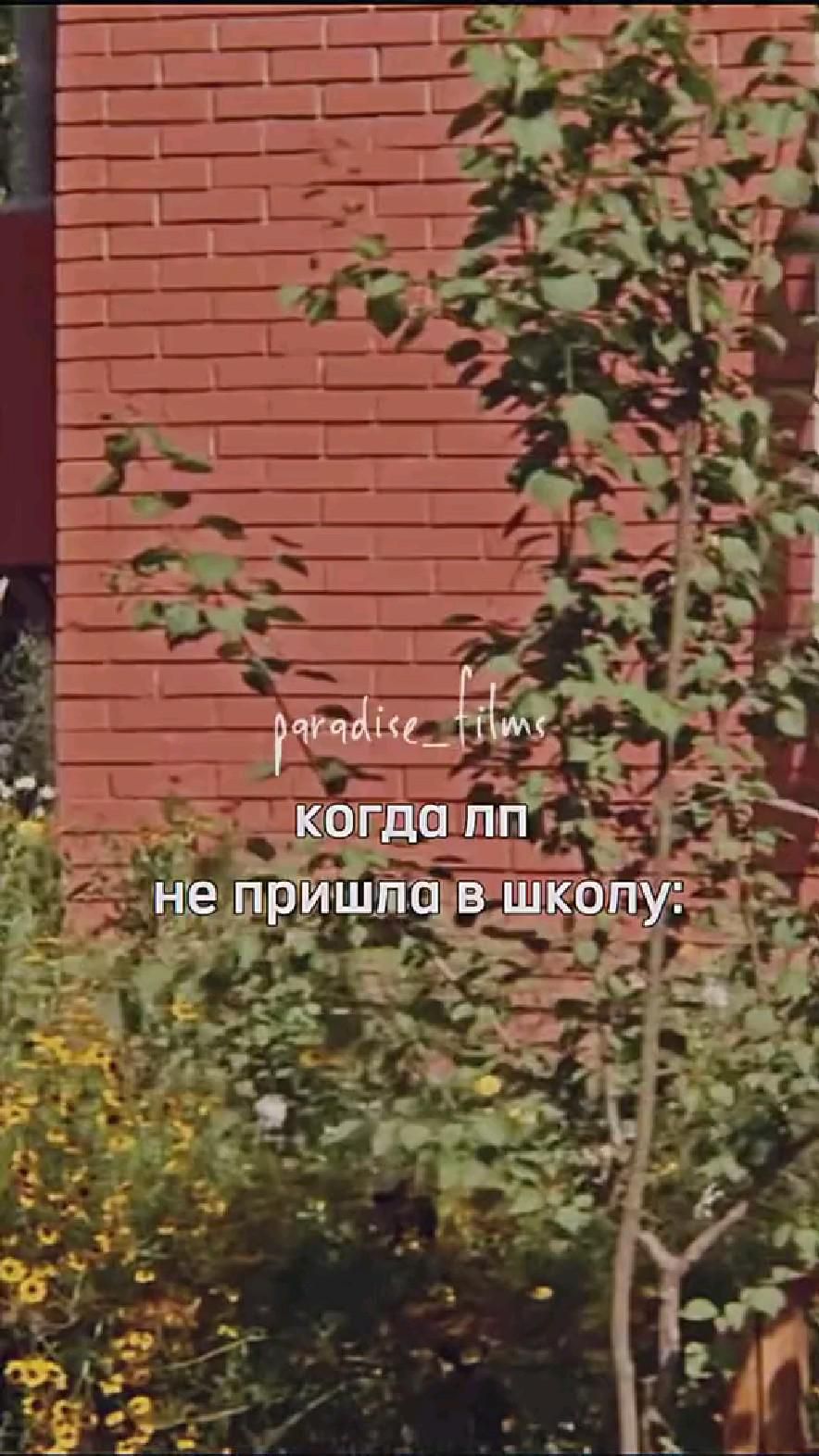 лпешка лпешка