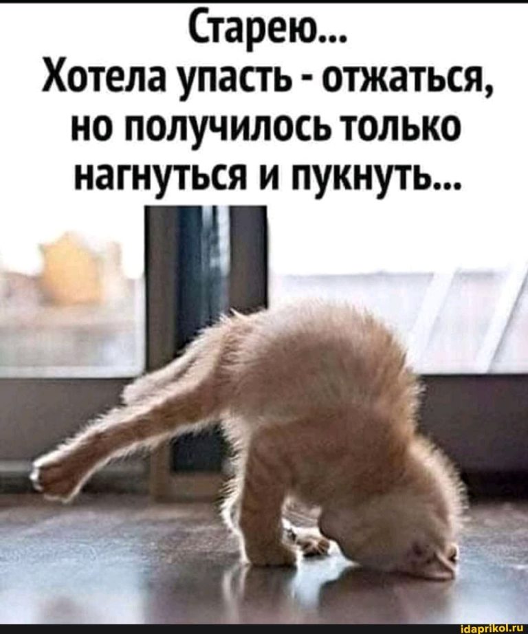 Старею… Хотела упасть – отжаться, но получилось только нагнуться и пукнуть… – АйДаПрикол Старею… Хотела упасть – отжаться, но получилось только нагнуться и пукнуть… – АйДаПрикол