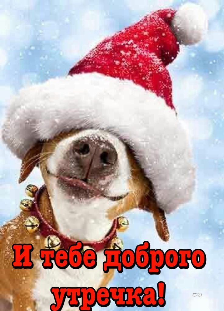 Доброе утро. Доброе утро.