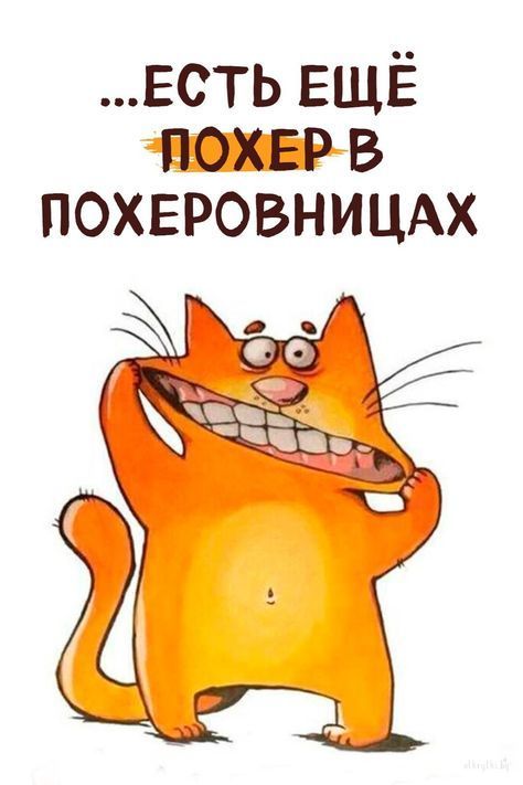смешные открытки1014 смешные открытки1014