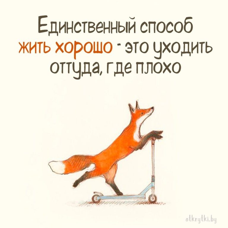 Остроумные картинки с надписями про ЖИЗНЬ Остроумные картинки с надписями про ЖИЗНЬ