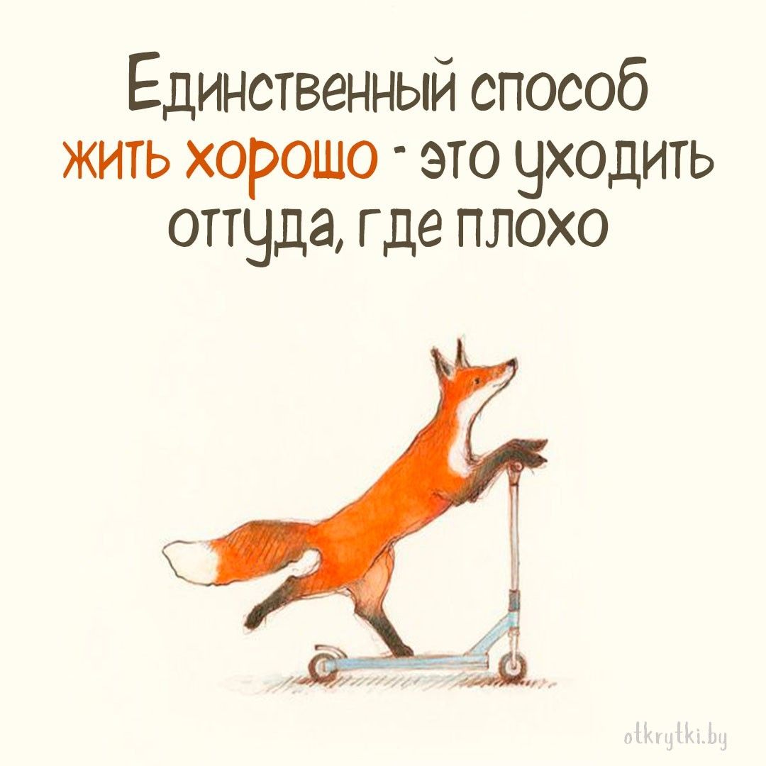 30+ остроумных картинок с надписями про ЖИЗНЬ 30+ остроумных картинок с надписями про ЖИЗНЬ