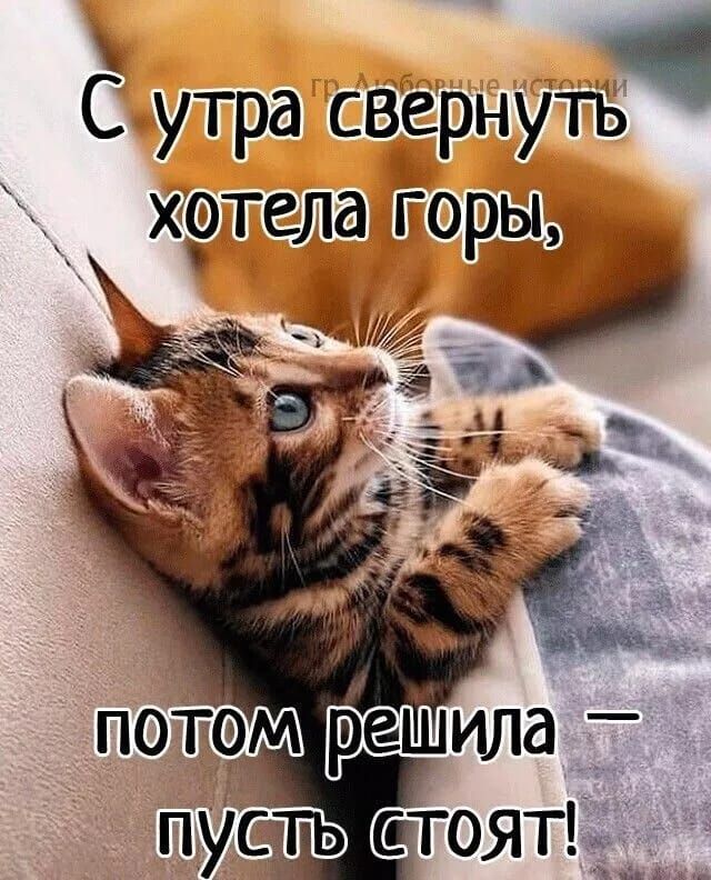 #длябабушек #длябабушек