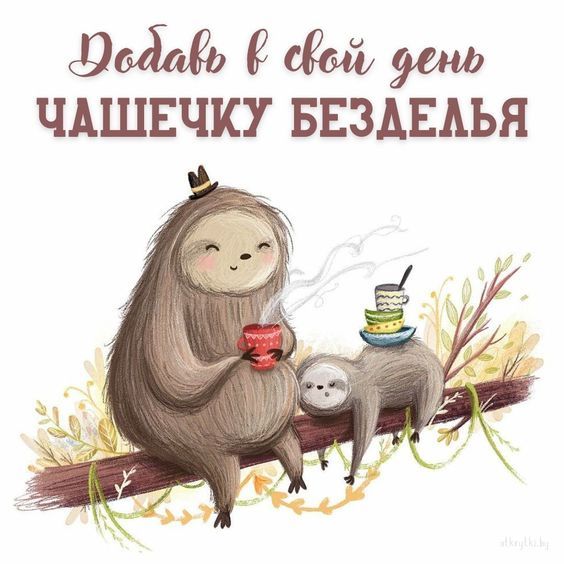 смешные открытки955 смешные открытки955