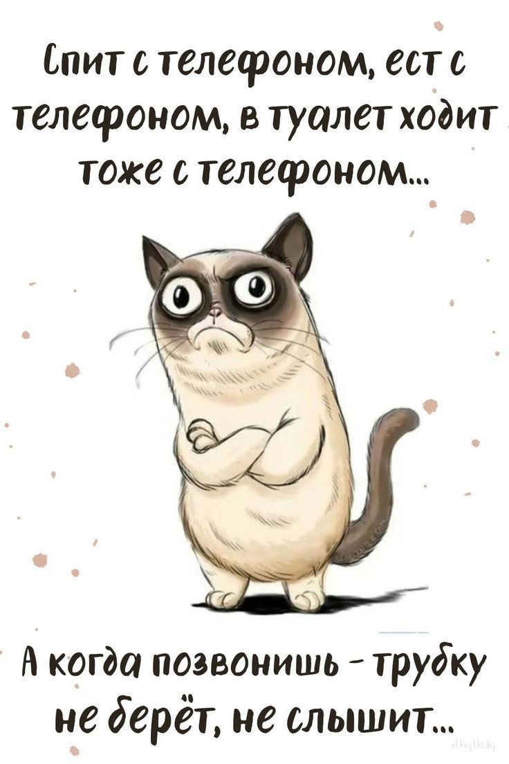 Позитивные мысли 297 Позитивные мысли 297