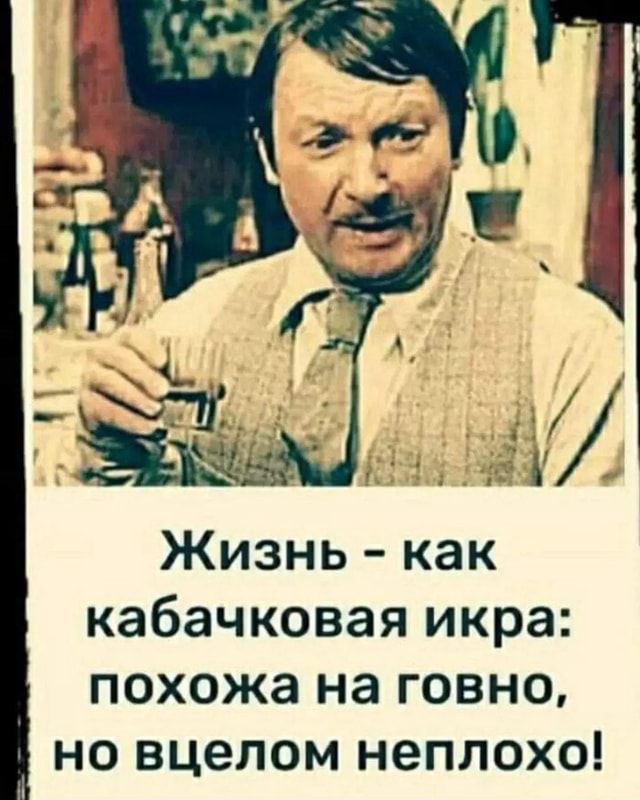 Жизнь – как кабачковая икра: похожа на говно, но вцелом неплохо! – АйДаПрикол Жизнь – как кабачковая икра: похожа на говно, но вцелом неплохо! – АйДаПрикол