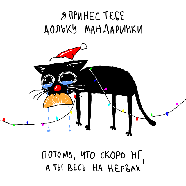 Cat (@wmascat) on X Cat (@wmascat) on X