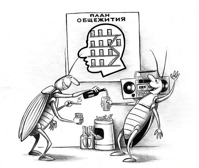 Свежие анекдоты про тараканов в голове
