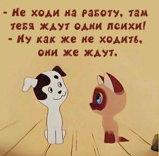 Женский юмор Женский юмор