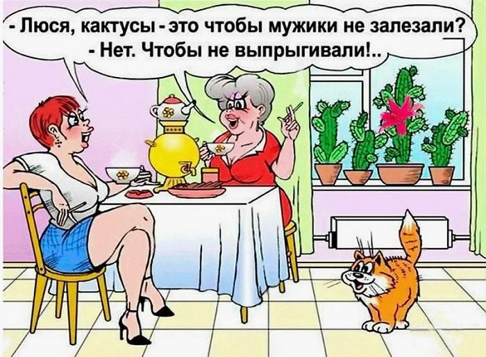 Анекдоты про Люсю Анекдоты про Люсю