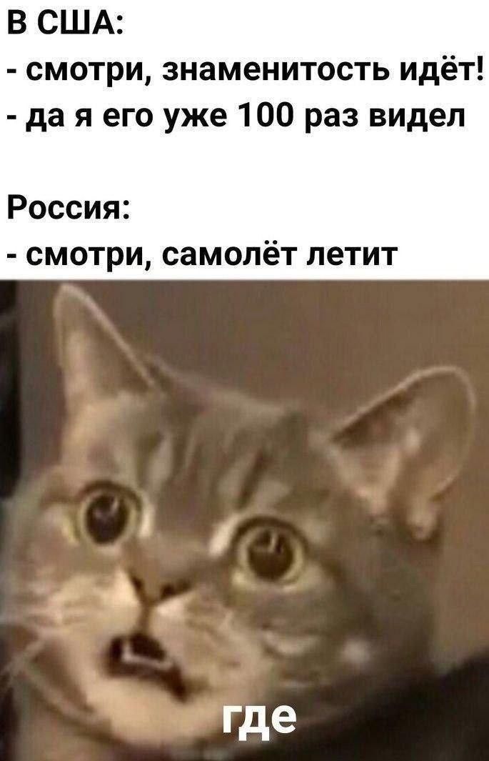 – Смотри птичка! – Где? – Смотри птичка! – Где?
