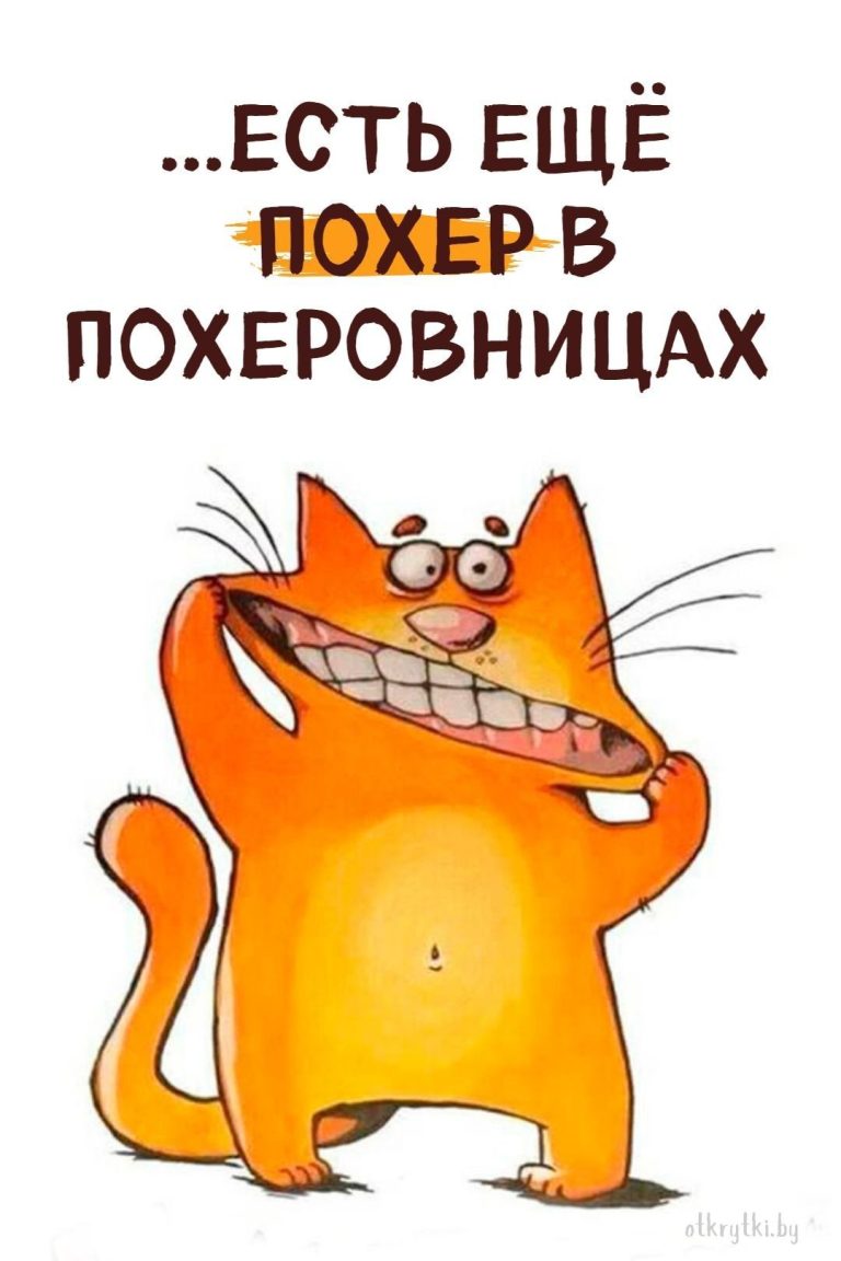 35+ ВЕСЁЛЫХ картинок для поддержки близкого человека 35+ ВЕСЁЛЫХ картинок для поддержки близкого человека