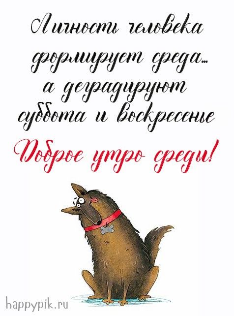 Картинки С добрым утром среды – скачать Картинки С добрым утром среды – скачать