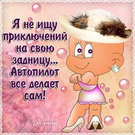 Открытка, фразы, фраза, я не ищу приключений на свою задницу. Открытки Открытка, картинка, фразы, фраза, фразочка, фразочки, прикол, прикольная открытка, цитата, цитаты, слова о женщинах, позитив, позитивные открытки, прикольные картинки скачать бесплатно онлайн Открытка, фразы, фраза, я не ищу приключений на свою задницу. Открытки Открытка, картинка, фразы, фраза, фразочка, фразочки, прикол, прикольная открытка, цитата, цитаты, слова о женщинах, позитив, позитивные открытки, прикольные картинки скачать бесплатно онлайн