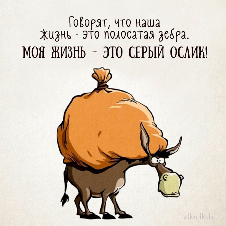 55+ креативных картинок с надписями о себе с юмором и сарказмом 55+ креативных картинок с надписями о себе с юмором и сарказмом