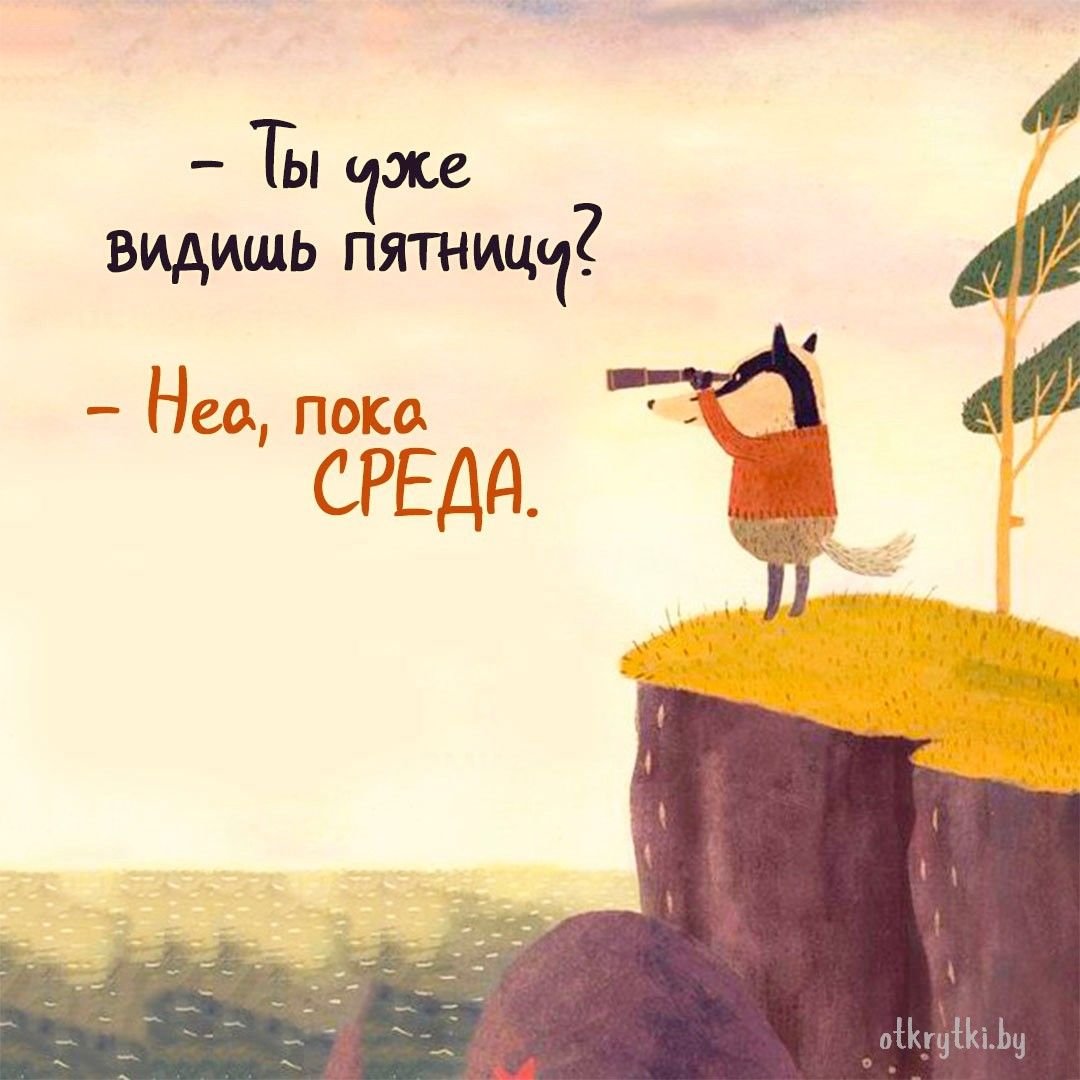 Смешные картинки про СРЕДУ с добрыми словами и веселым юмором Смешные картинки про СРЕДУ с добрыми словами и веселым юмором