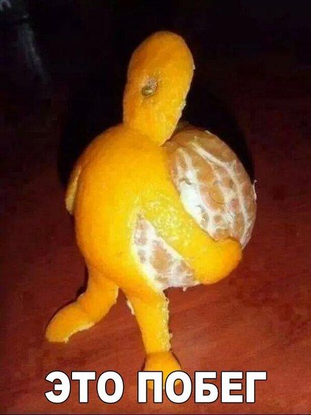 ΠΠ ΠΠΠΠΠ« | Π‘ΠΌΠ΅ΡΠΊΠ° ΠΠ ΠΠΠΠΠ« | Π‘ΠΌΠ΅ΡΠΊΠ°