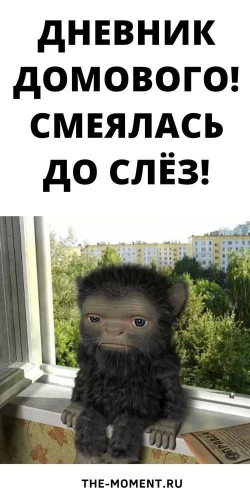 Дневник Домового! Смеялась До Слёз! Дневник Домового! Смеялась До Слёз!