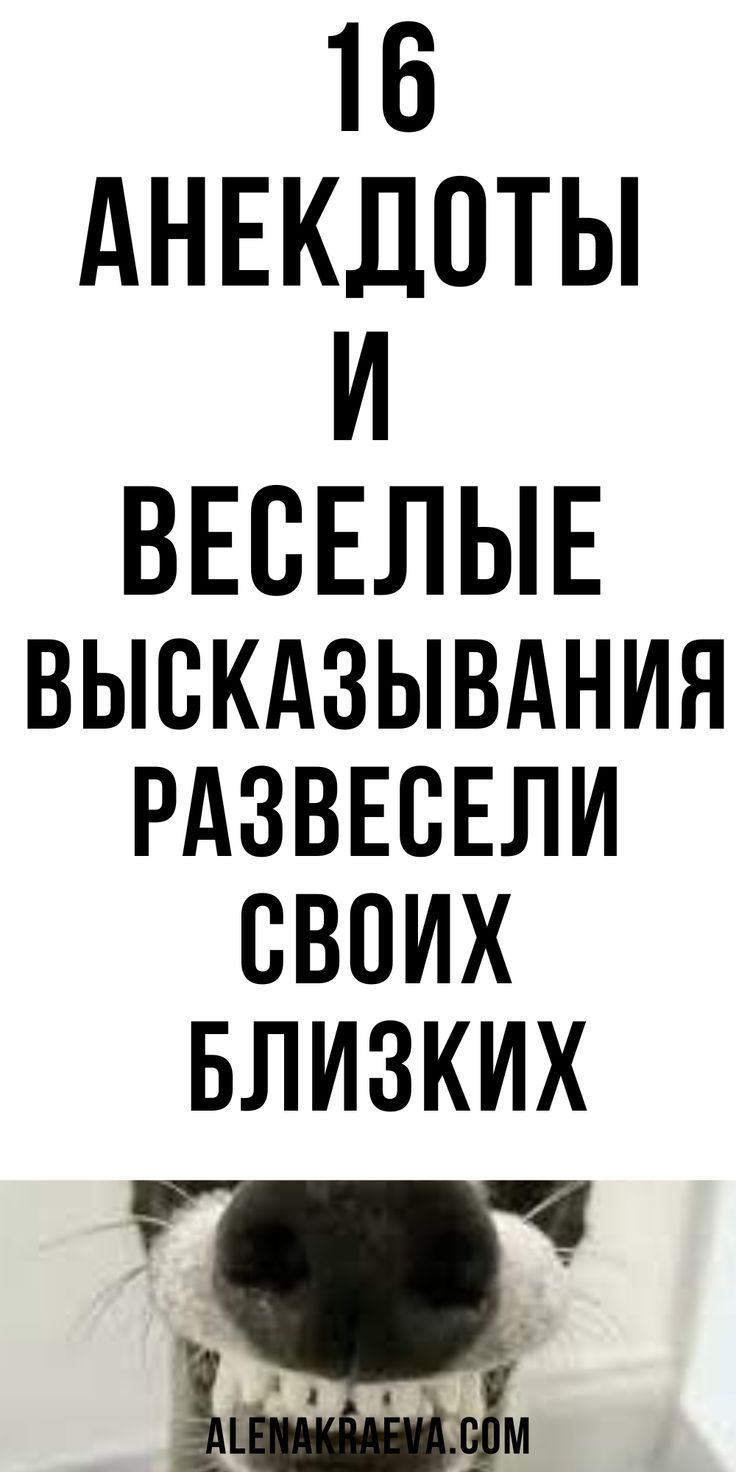 Анекдоты и веселые высказывания, юмор | alenakraeva.com