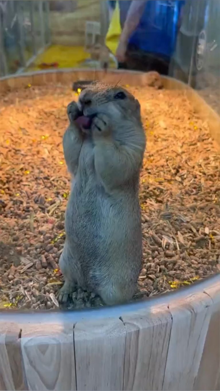 Веселый парень😁 Веселый парень😁