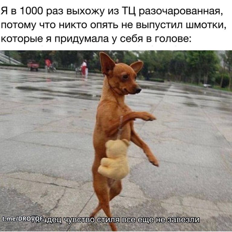 Женский юмор Женский юмор