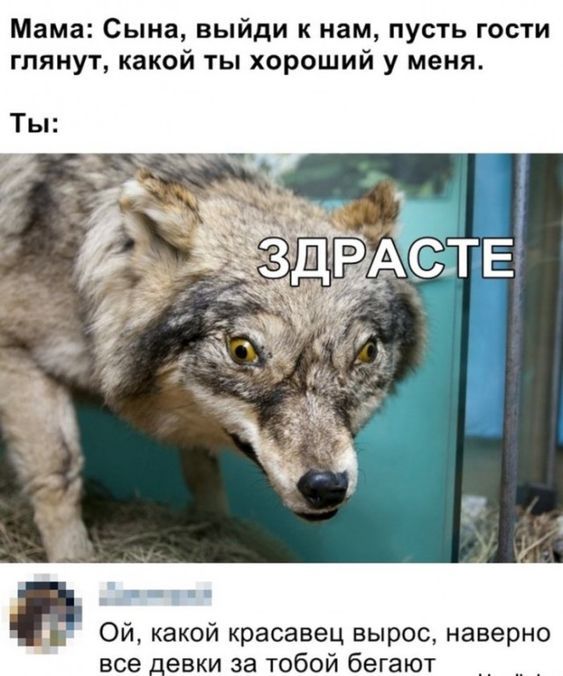 картинки смешные828 картинки смешные828