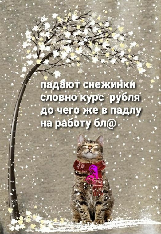 смешные открытки241 смешные открытки241