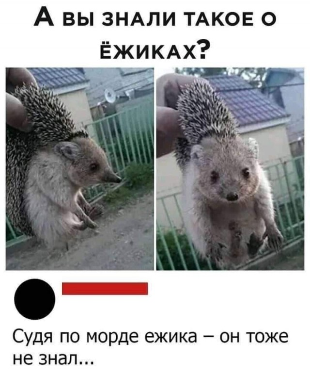 Картинки всякие 02.09.20 – ЯПлакалъ Картинки всякие 02.09.20 – ЯПлакалъ