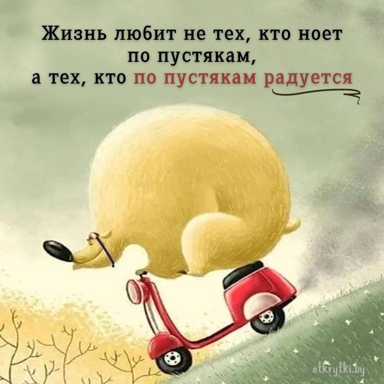 30+ остроумных картинок с надписями про ЖИЗНЬ 30+ остроумных картинок с надписями про ЖИЗНЬ