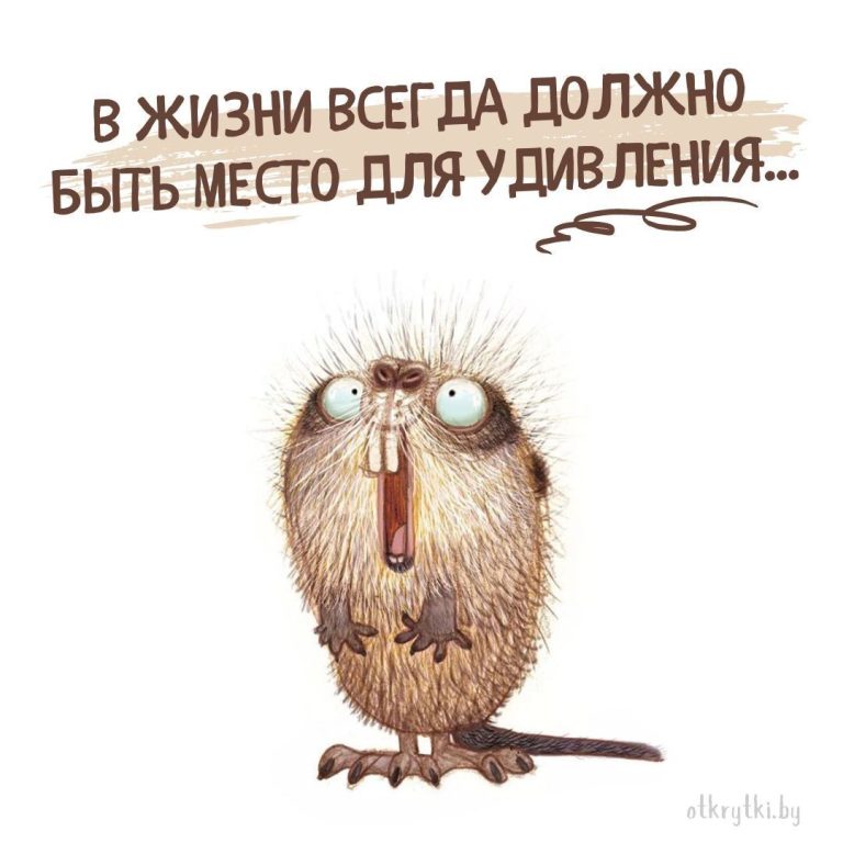 30+ остроумных картинок с надписями про ЖИЗНЬ 30+ остроумных картинок с надписями про ЖИЗНЬ