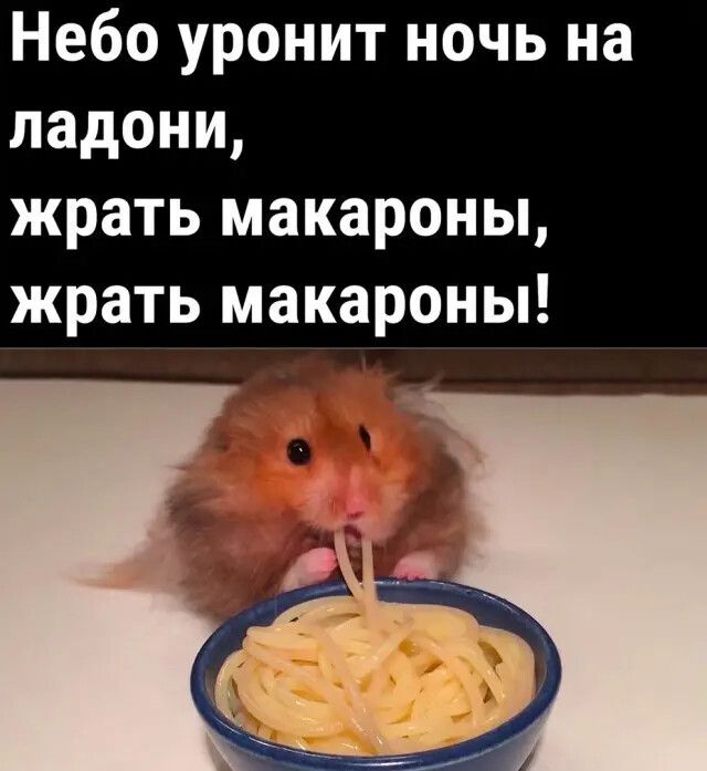 юмор, смешные картинки юмор, смешные картинки
