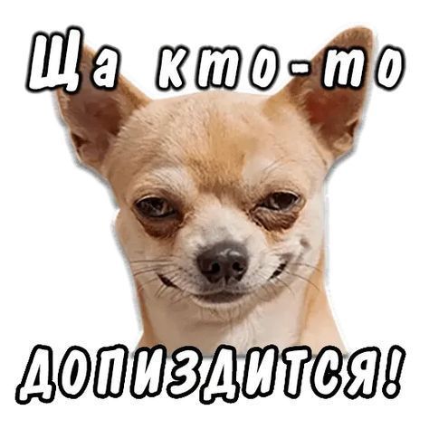 юмор, шутки265 юмор, шутки265
